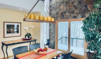 302 Roaring Fork Dr, Aspen, CO 81611