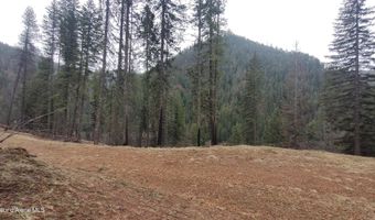 480 Dunn Peak Rd, Avery, ID 83802