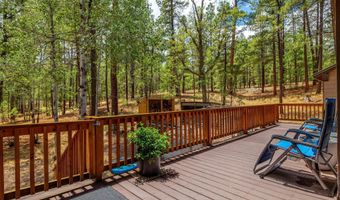 8 County Road 2083, Alpine, AZ 85920