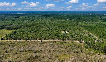 7000 NW 7th Way, Bell, FL 32619