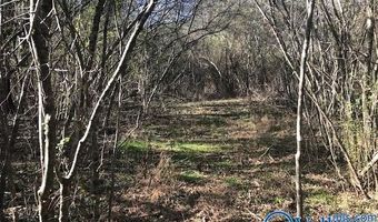 6777 Hwy 207, Anderson, AL 35610