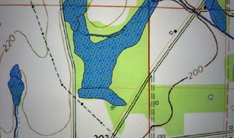 20 Ac Coot Adams Rd, Ashford, AL 36312