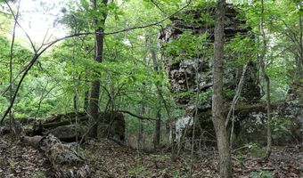 Whiskey Creek Lane, Batesville, AR 72501