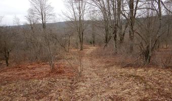County Route 16, Angelica, NY 14709