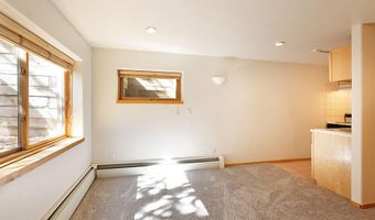 311 Midland Ave, Aspen, CO 81611