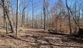 Flint Ridge Road lot 6, Albemarle, NC 28001