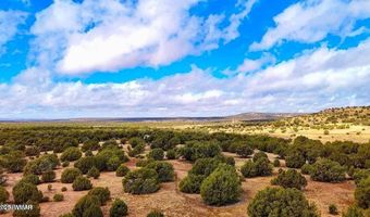 Tbd Co Rd 8256 Lot C 10 Acres, Concho, AZ 85924