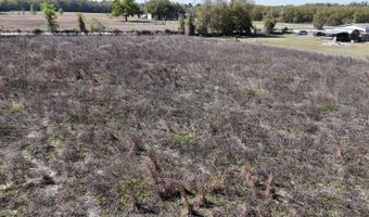 NW 50th STREET, Bell, FL 32619