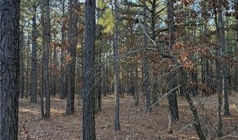 TBD Rural Atoka, Atoka, OK 74525