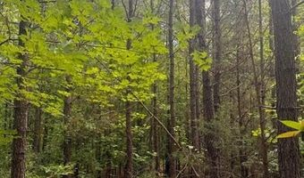 Piney Mountain Rd, Appomattox, VA 24522