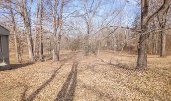 509 Old Cane Bluff Rd, Alton, MO 65606