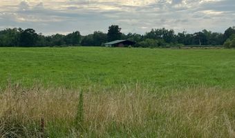 420 Sheffield Rd, Adamsville, TN 38310