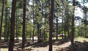 0 Caesar Rd, Black Hawk, CO 80422