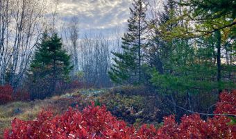 W McMann & Porcupine Hill Road lot 3, Addison, ME 04606