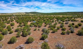 84 County Road N8149, Concho, AZ 85924