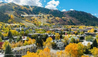 725 E Main St 309, Aspen, CO 81611