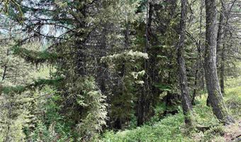 53 Landale Ln, Cascade, ID 83711