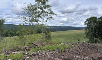 Davis Acres Road, Brookfield, VT 05060