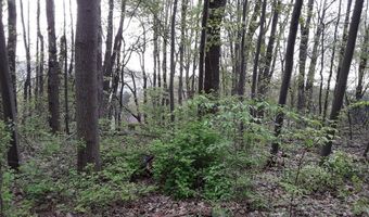 305 Ridge Ave, Altoona, PA 16602