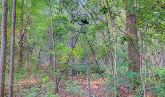 133 Trailwood Cir, Bamberg, SC 29003