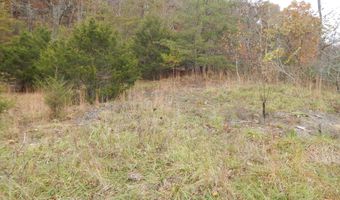 Spoon Gap Rd, Abingdon, VA 24211