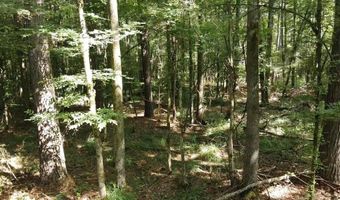 Tbd NE Bahalia Road, Brookhaven, MS 39601