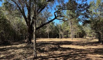 20 Ac Coot Adams Rd, Ashford, AL 36312