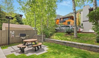 100 E Dean St 1D, Aspen, CO 81611