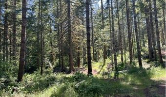 Tunnel Tract Parcel3, Banks, OR 97106