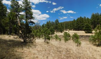 10 N2310, Alpine, AZ 85920