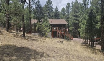 15 County Road 2065, Alpine, AZ 85920