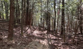 18 6 Acres Cave Branch Rd, Allardt, TN 38504