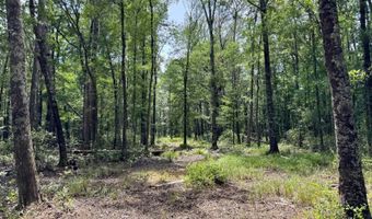 Fox Paw Court, Branchville, SC 29432