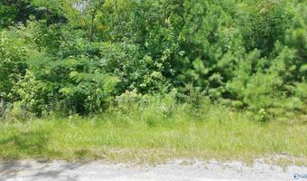 46 Foothill Cir, Arab, AL 35016