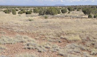 10 N9228, Concho, AZ 85924
