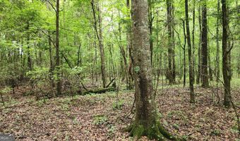 143 Highway 341, Barnesville, GA 30204