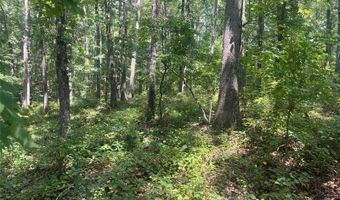 6 Acres Henry Scott, Ball Ground, GA 30107