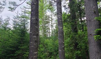 Map 14 lot 50, Andover, ME 04216