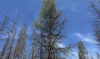 Off-Hicks Road, Bly, OR 97622