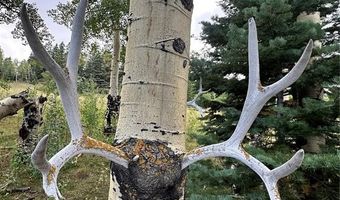 9010 County Road 21.1, Aguilar, CO 81020