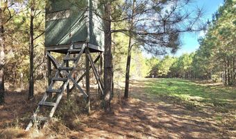 1228 River Rd, Ariton, AL 36311