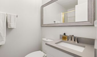 100 E Dean St 1D, Aspen, CO 81611