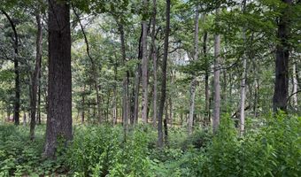 82 CABIN Rd, Augusta, WV 26704