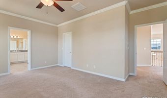 13699 Pecos Loop, Broomfield, CO 80023