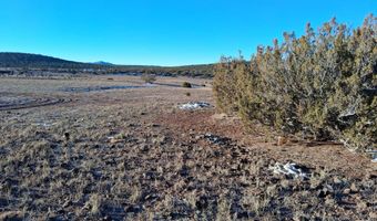 286 County Rd, Concho, AZ 85924