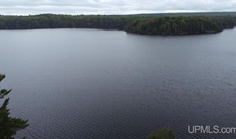 161 Porter Lk, Amasa, MI 49903