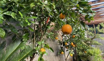 79 AUBURN FOREST Rd, Afton, WY 83110