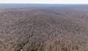 Tuska Drive, Ash Flat, AR 72513