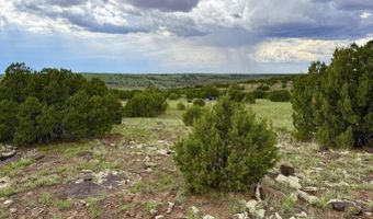 121 Co Rd 8051, Concho, AZ 85924