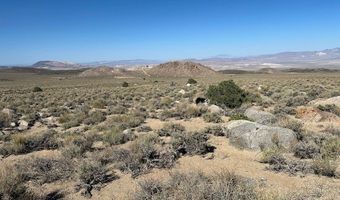 1220 SETTLER'S Way, Dyer, NV 89010